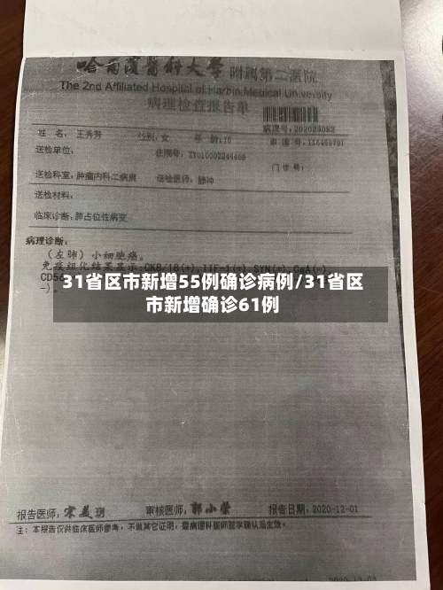 31省区市新增55例确诊病例/31省区市新增确诊61例