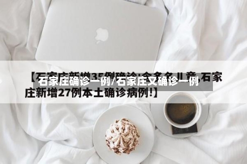石家庄确诊一例/石家庄又确诊一例-第3张图片