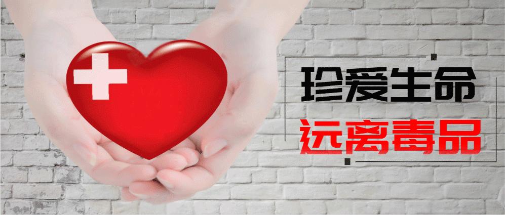 河北疫情最新消息肺炎(河北疫情最新动态)-第2张图片